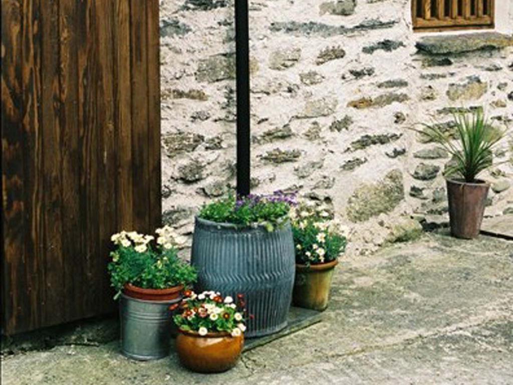 Plasglasgwm Betws-y-Coed Phòng bức ảnh